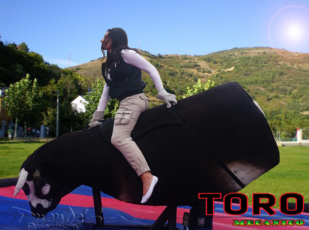 Alquiler toro mecanico Chia