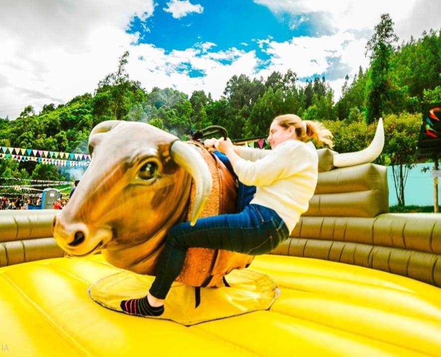 Aluiler toro mecanico zipaquira